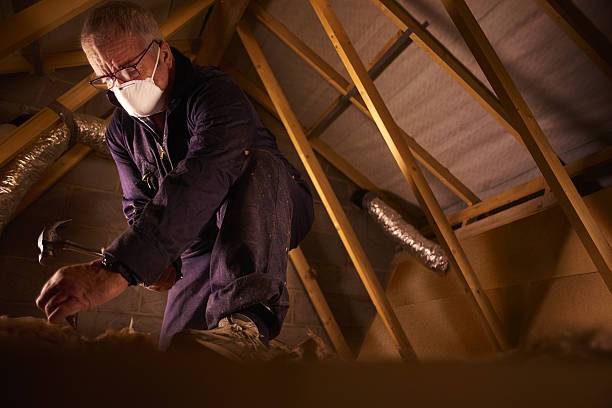 Best Geographic-Specific Insulation Services in Gibraltar, MI